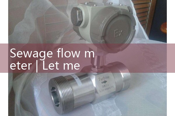 Sewage flowmeter